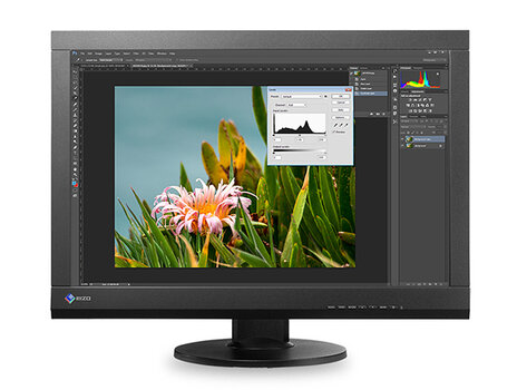 EIZO CS240 Monitor