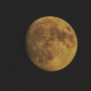 DSC_5558 Mond zu 95.jpg