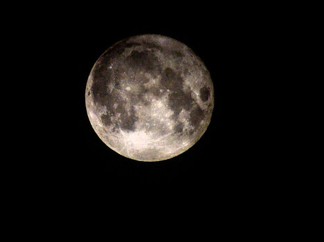 20220714_021031_nf.JPG