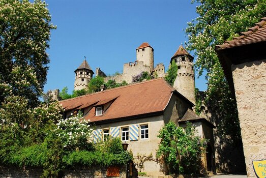 2022-07-16_10-53-33.jpg