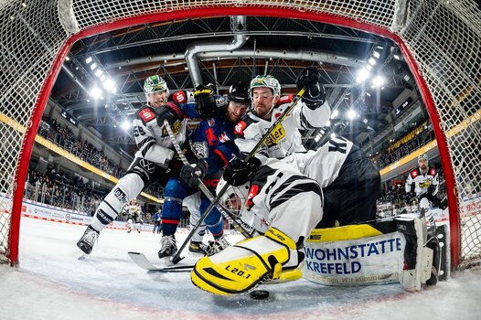 Hintertor-Perspektive und volle Action im Spiel der Nürnberg Ice Tigers gegen die Krefeld Pinguine. Foto: ©Thomas Hahn