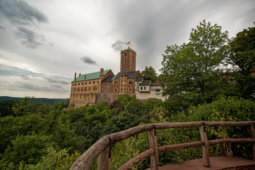 750_8310_DxO.JPG