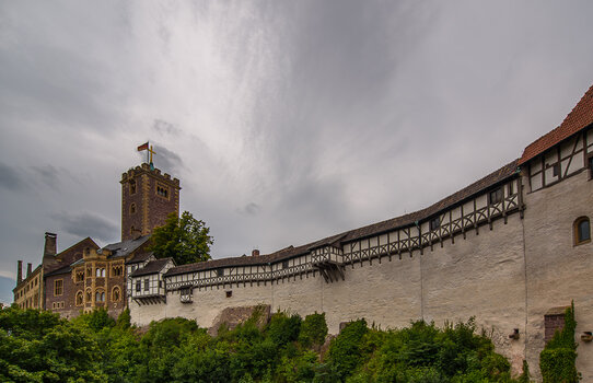 750_8314.JPG