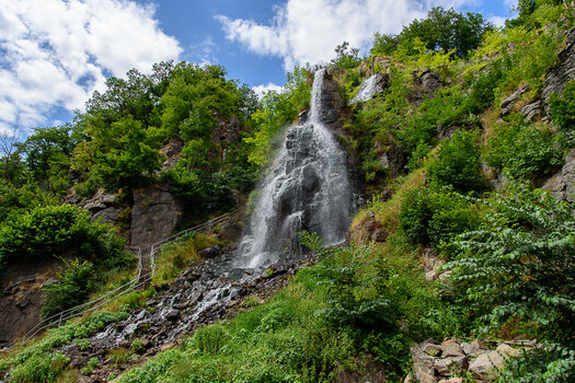 750_8533.JPG