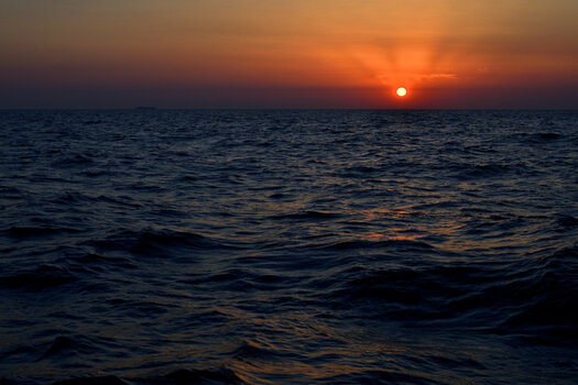 20220720_053918_nf.JPG