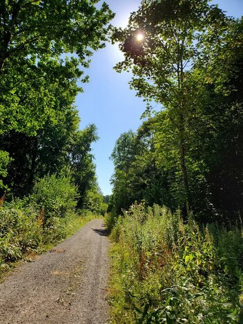 2022-07-20_09-51-12.jpg