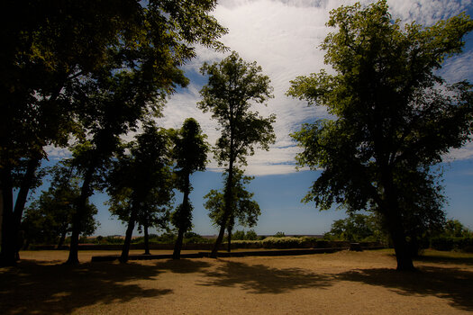 750_8808.JPG