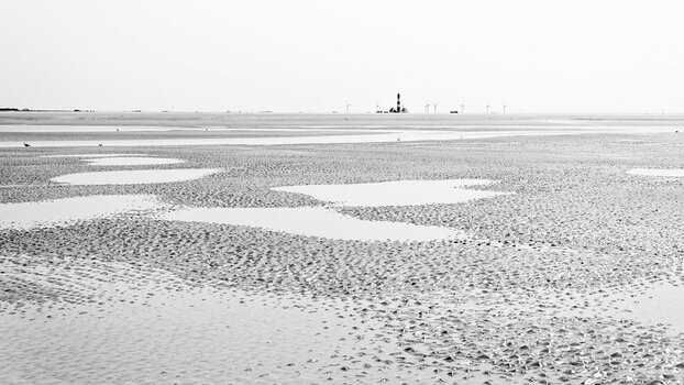 NK6_6323-1800-sw-hk_1.jpg