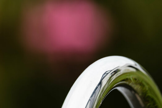 Z91_0609.jpg