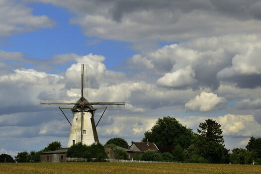 _DSC0030_00001_01.jpg