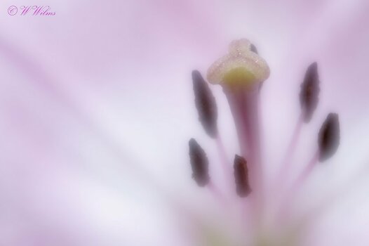 _DSC4761_DxO.jpg
