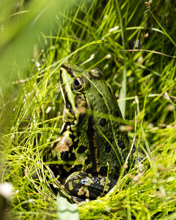 Z91_0617.jpg
