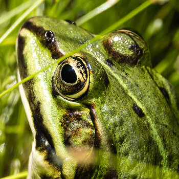 Z91_0617-Fotoforen-2.jpg