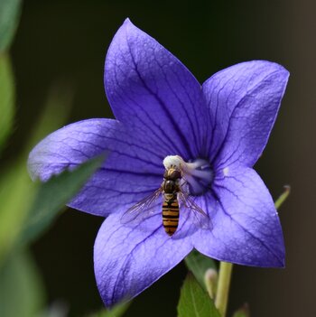 DSC_3179_00001_01n1.jpg
