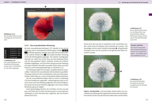 Seiten 100 und 101 aus dem Buch Affinity Photo. Das umfassende Handbuch: Das Auswahlrahmen-Werkzeug mit Beispielbildern z.B. einer Pusteblume Seiten 100 und 101 aus dem Buch Affinity Photo. Das umfassende Handbuch: Das Auswahlrahmen-Werkzeug mit Beispielbildern z.B. einer Pusteblume