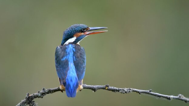 DSC_5481.jpg