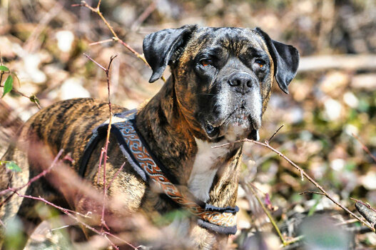 DSC_0823 Konrad.jpg