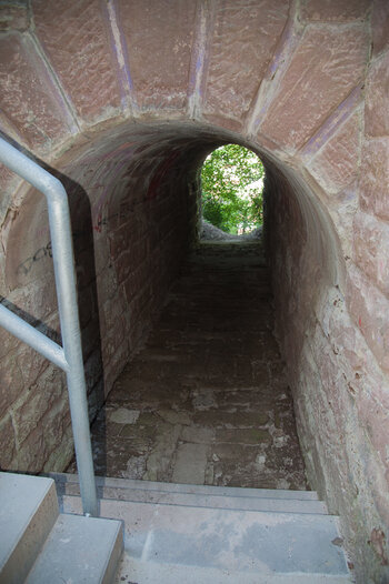 _7019147.jpg