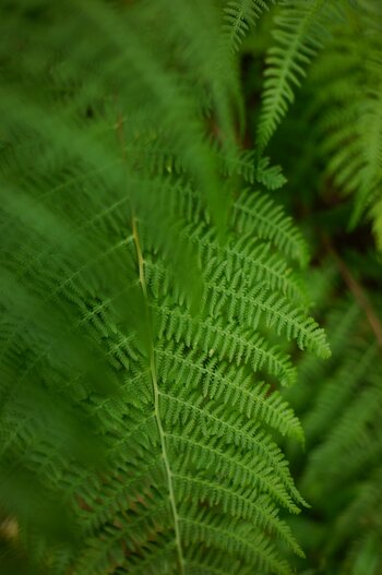 Beispielfoto mit dem SIGMA 24mm F1.4 DG DN ART