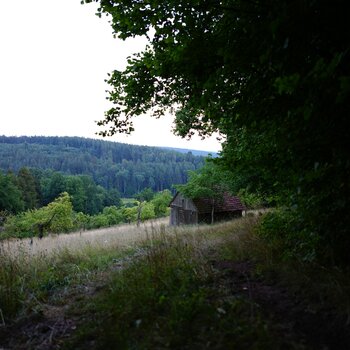 Beispielfoto mit dem SIGMA 24mm F1.4 DG DN ART