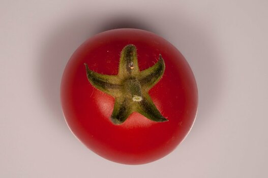 Tomate_Klein.jpg