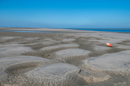Strand Spiekeroog.jpg