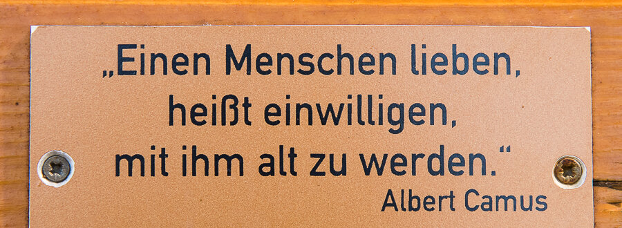 750_9079.JPG