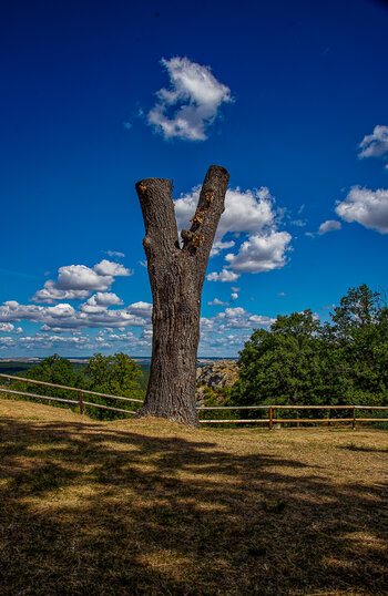 750_8876_DxO.JPG