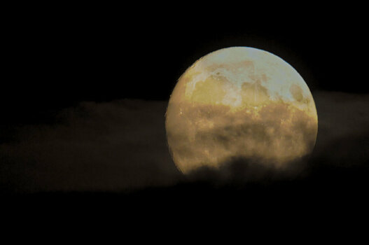 DSC_6246 Mond 97.jpg