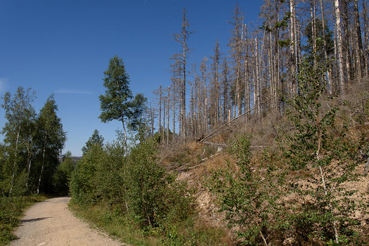 750_9033.JPG