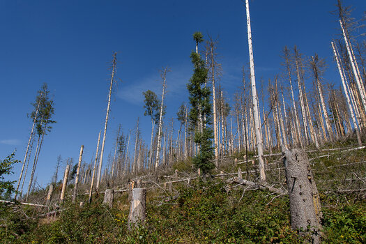 750_9035.JPG