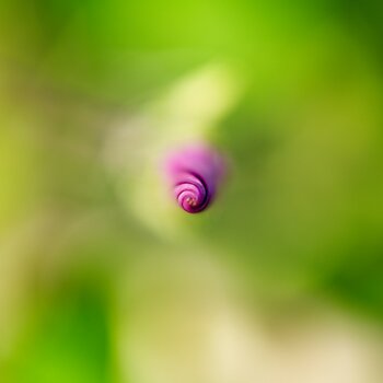 VG_850_7929_on1-landscape-1.jpg