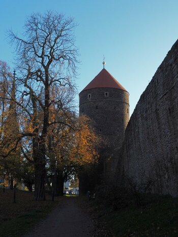 PB071951 (2)n1.JPG