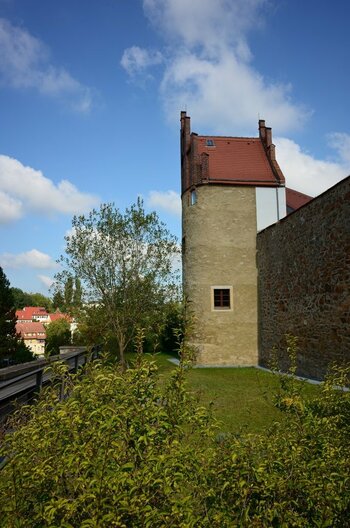 DSC_2489_00001n.jpg