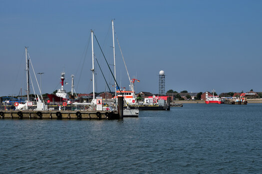 20220816_145009_nf.JPG