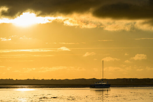 D13531C0-E943-4A65-AA65-D0F3E683B8C5.jpeg