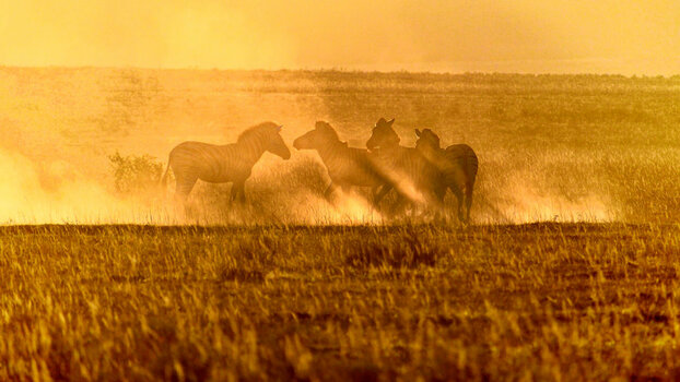 DSC_3466_DxO23_DxO_DxO.jpg