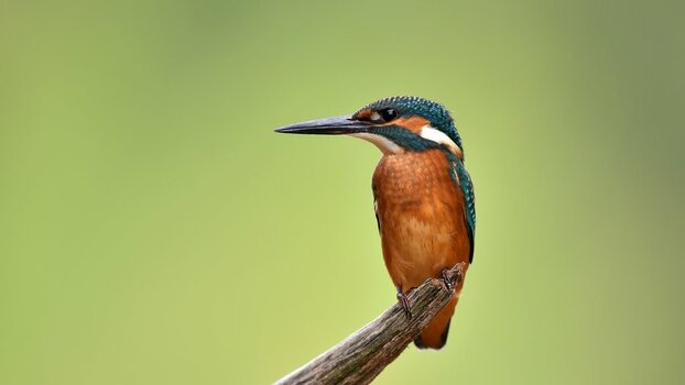 DSC_7452.JPG