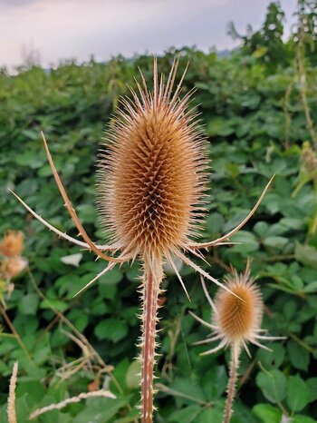 20220819_170436.jpg
