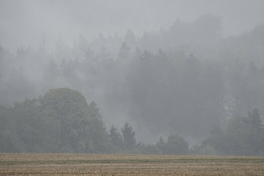 DSC_3325_00001_02n.jpg