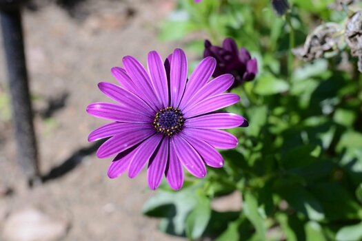 DSC_9102.jpeg