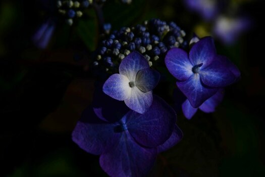 DSC_6997.jpeg