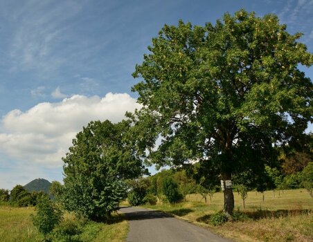 DSC_0943_00001 (2)n.jpg