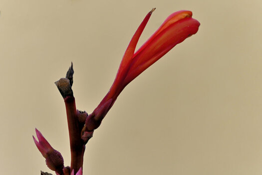 DSC_0124_DxO.jpg