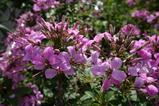 2022-08-23_09-16-52.jpg
