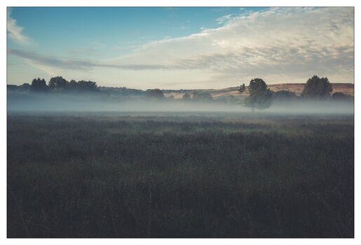 xMorgennebel  (1 von 1).jpg