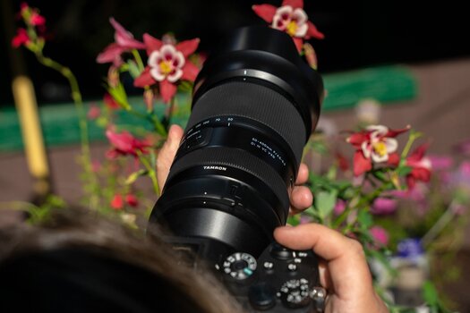 Das Tamron 50-400mm F/4.5-6.3 Di III VC VXD im Einsatz Das Tamron 50-400mm F/4.5-6.3 Di III VC VXD im Einsatz