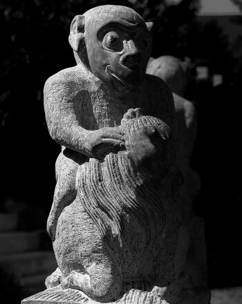 750_8764.JPG