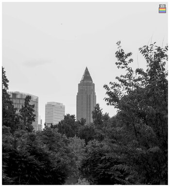 DSC_2265.jpg