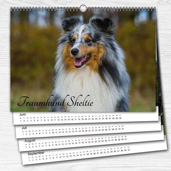 Kalender mit Sheltie auf dem Cover und wählbarem Monatsbeginn